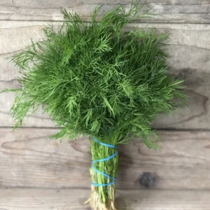 Dill 100g