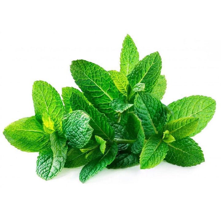 Mint 100g