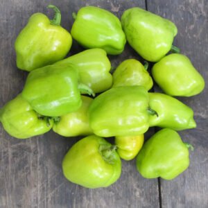 Dolma Pepper Box 3kg