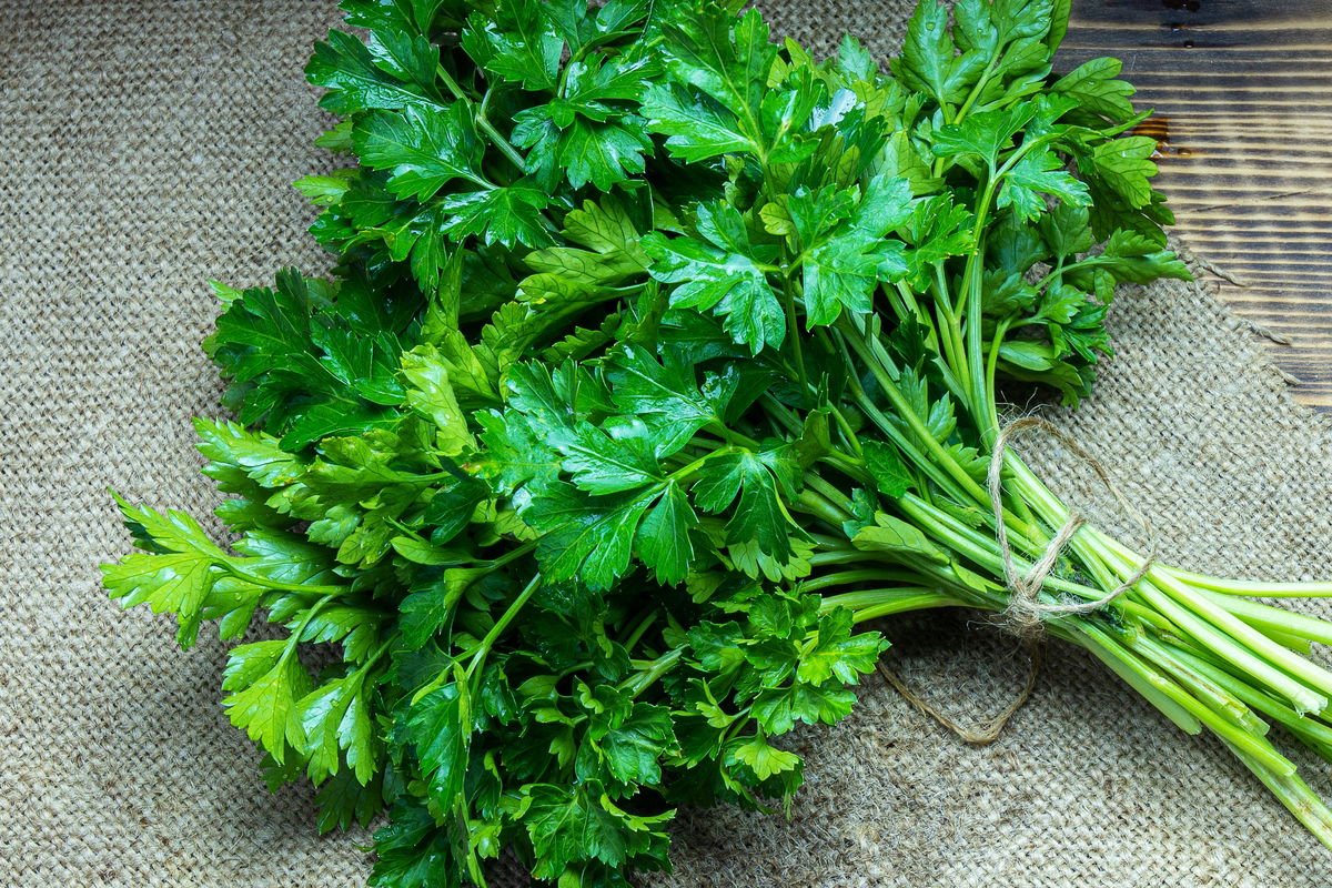 Flat Parsley 100g
